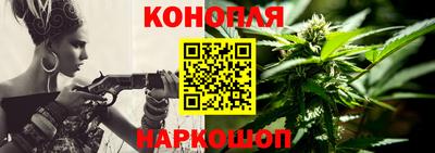 прущие грибы Пугачёв