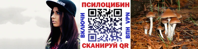 продажа наркотиков  Хасавюрт  Псилоцибиновые грибы Psilocybine cubensis 