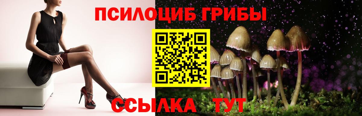 Галлюциногенные грибы мухоморы  Вход с VPN  закладки  Хасавюрт 